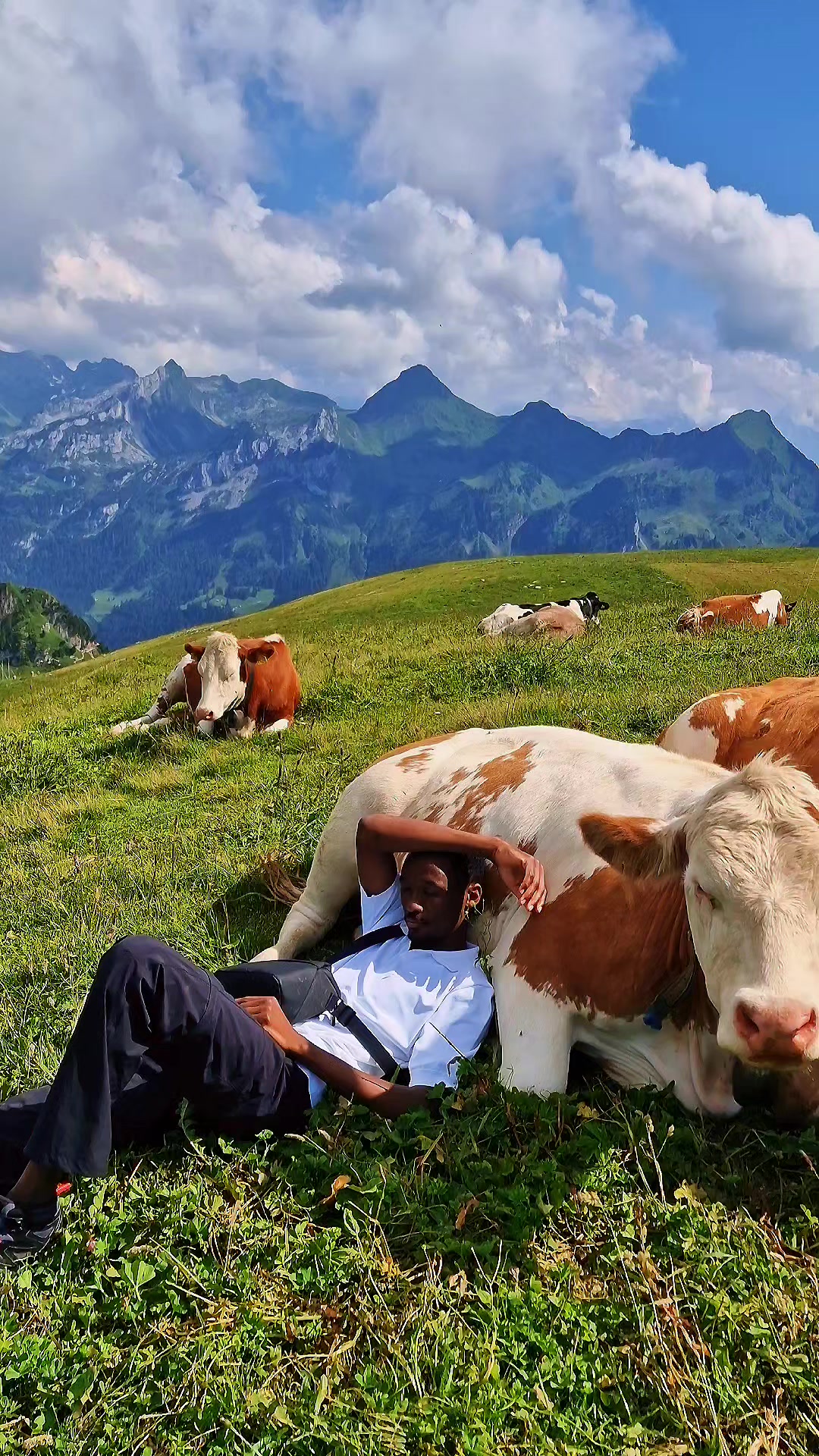 @السياحة في سويسرا🇸🇩🇨🇭 swis