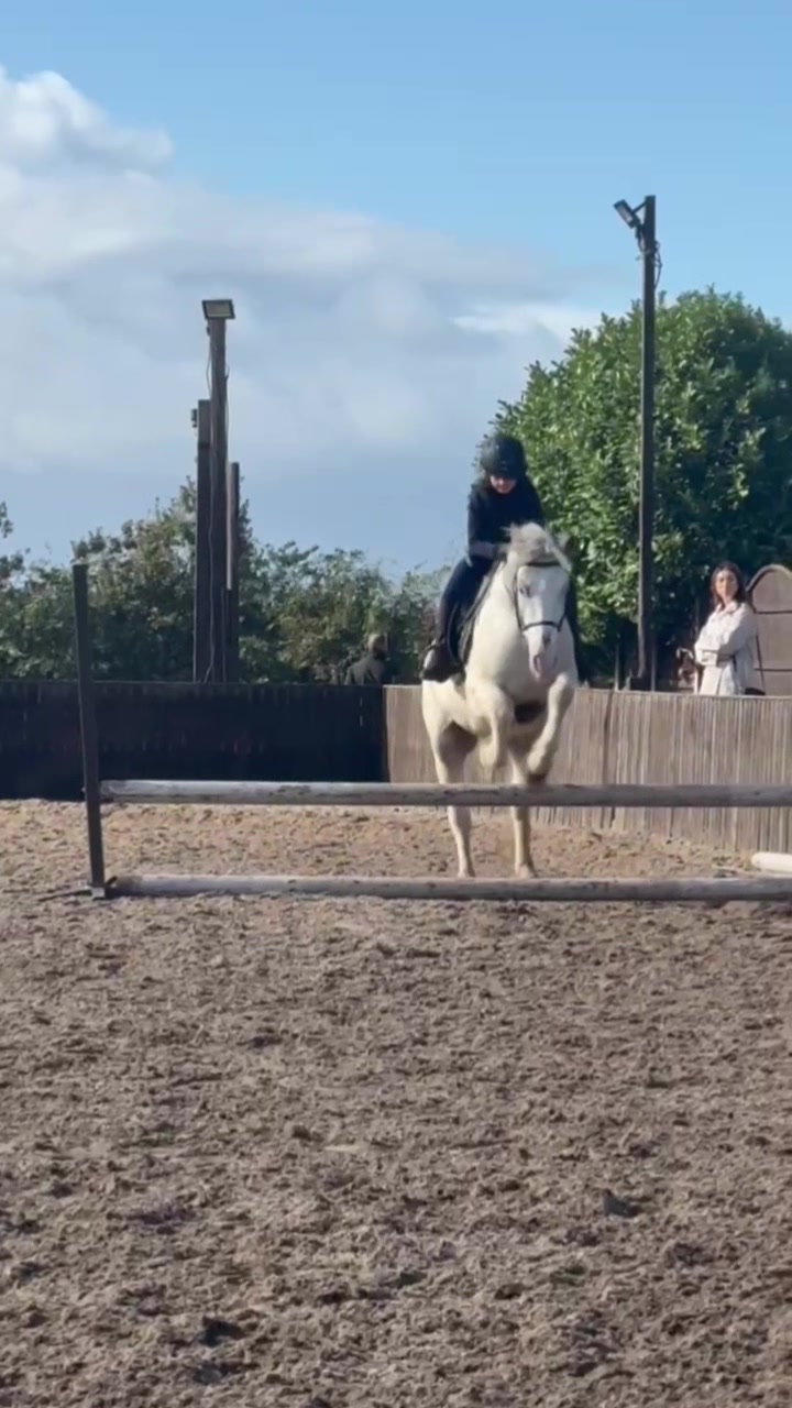 @LottiesHorseAdventures🦄🐴