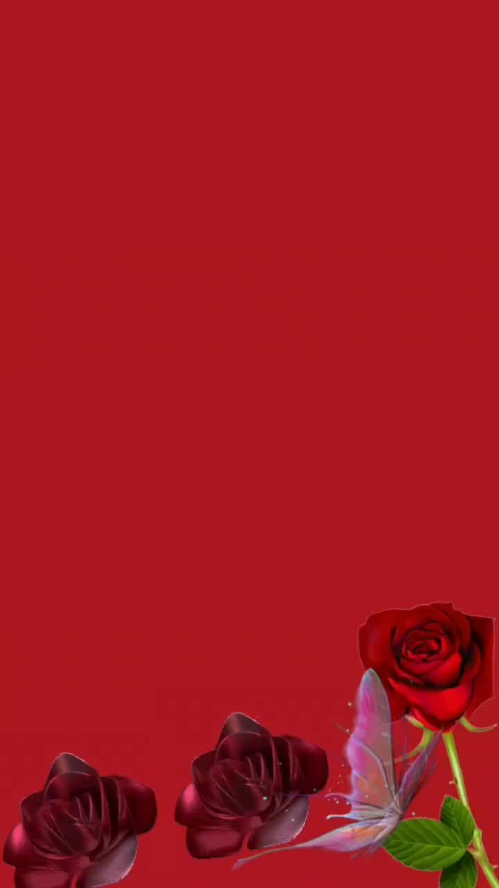 @Amalia Dano ♥️🌹☀️