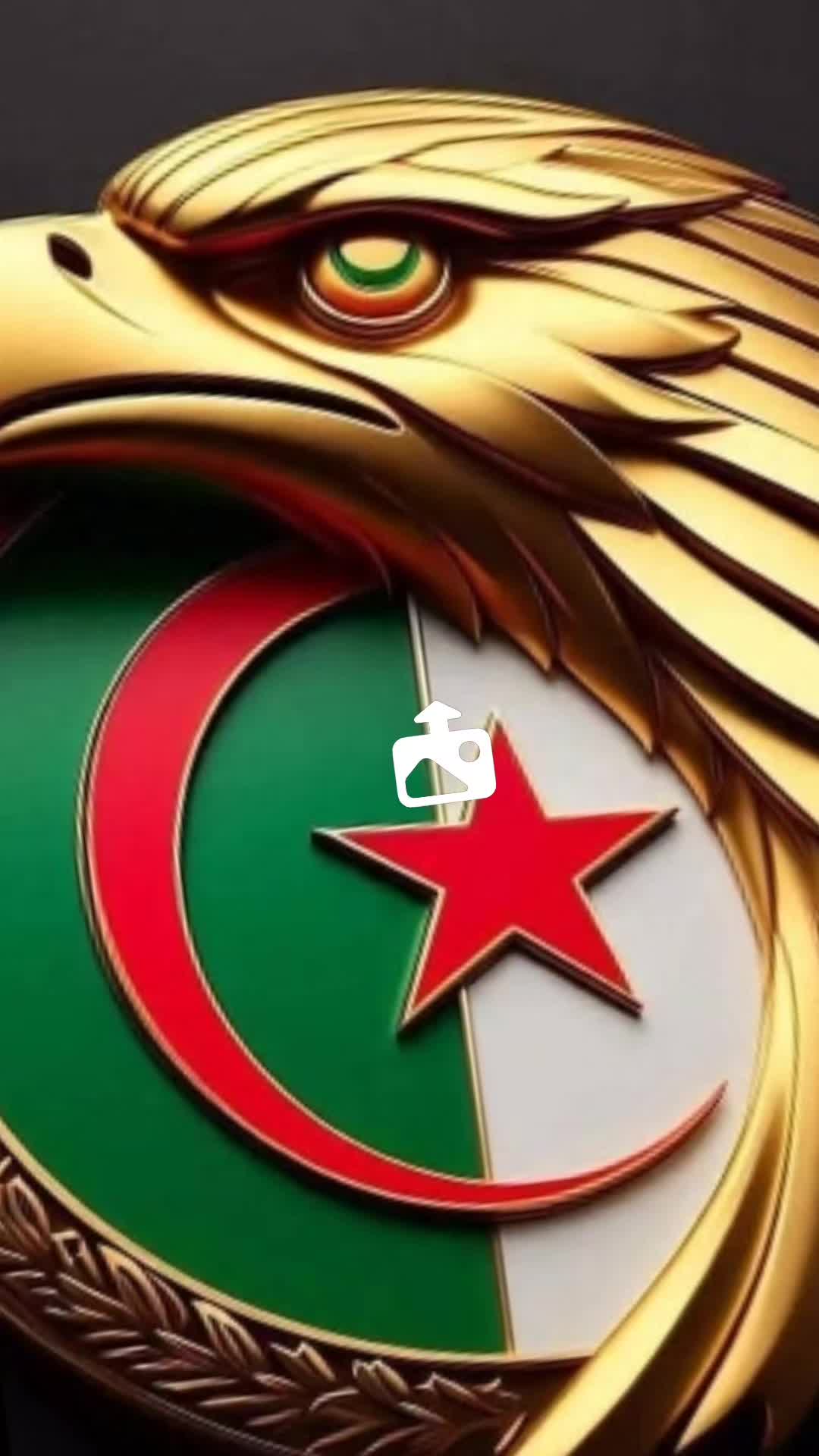 @rezaoui