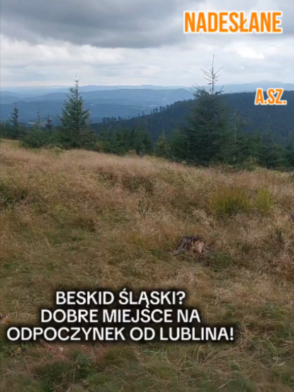 @andrzejfilipowicz00