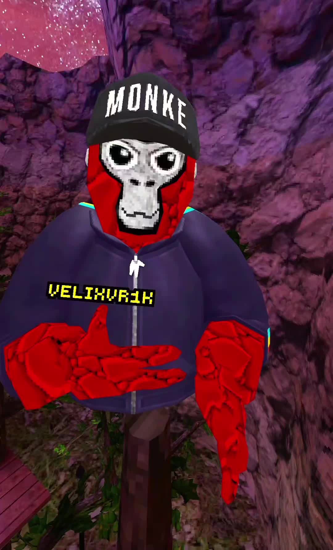 @VelixVR [1k]