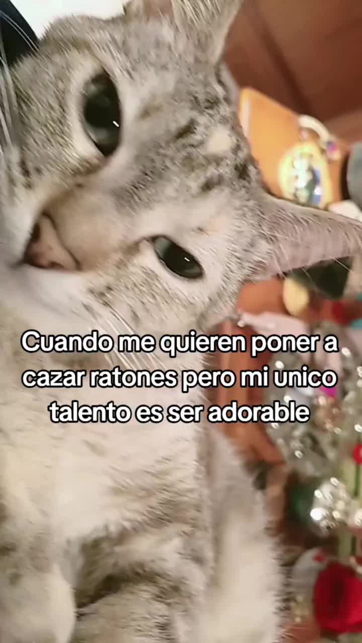 @Andrea Estefan&iacute;a