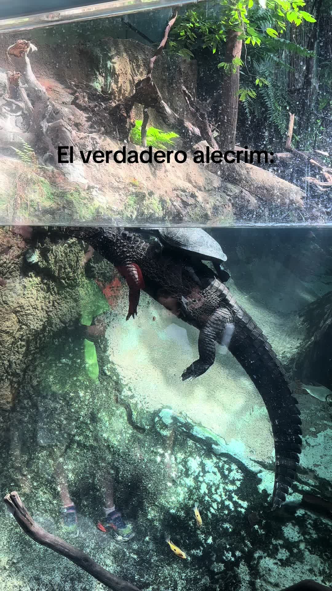 @Una granota feliz