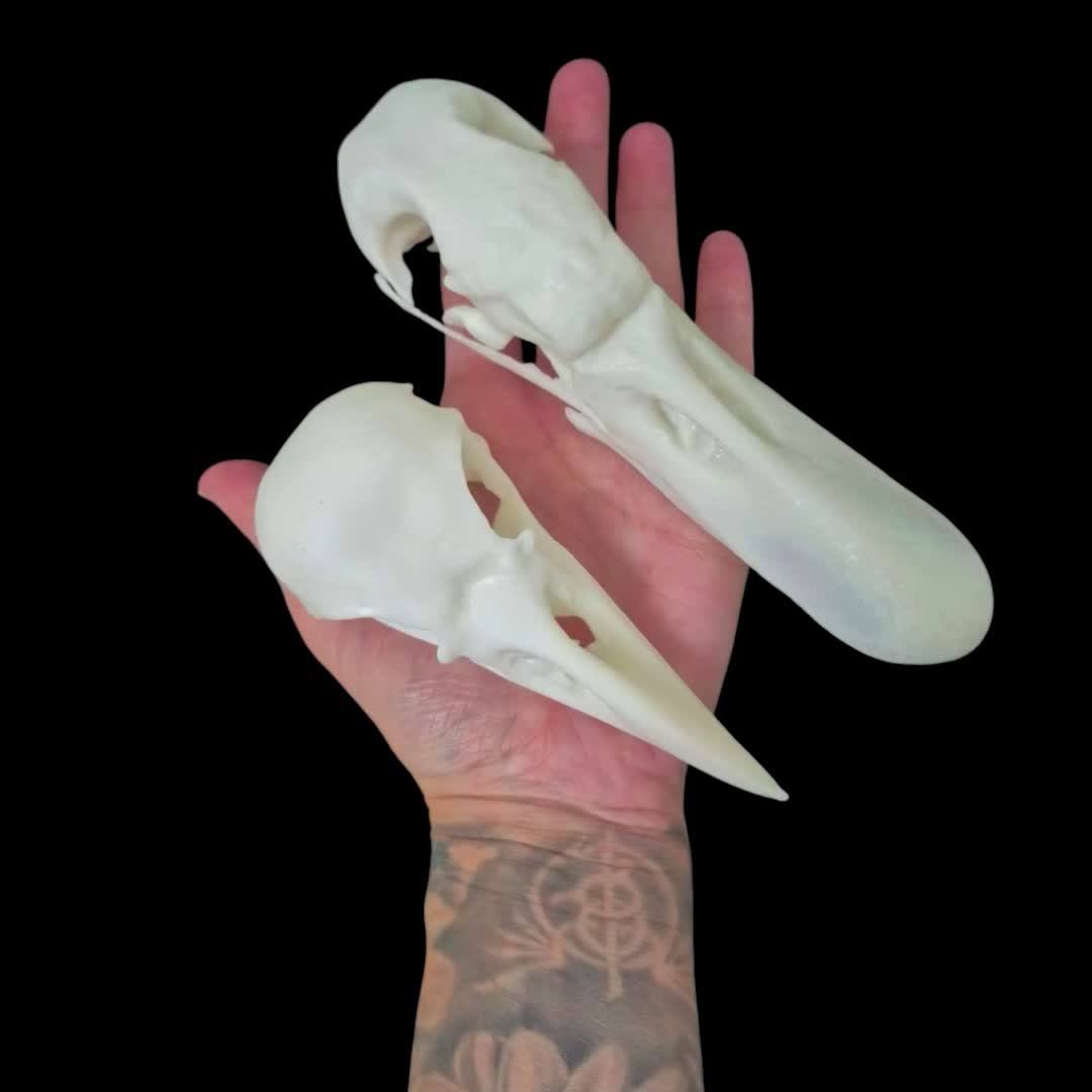 @Misterfeeneyart