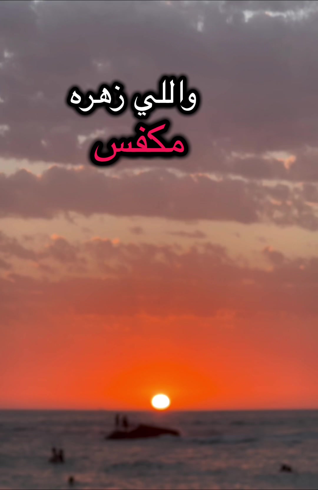 @HASNI