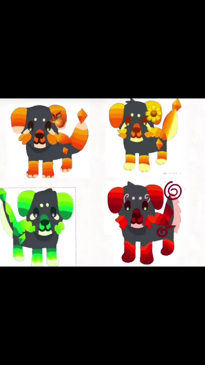 @°ʚ🌈ɾαιɳႦσɯ 𝐩𝐮𝐩 ᥴ᥆ᥣᥣᥲᑲ🐾ɞ°