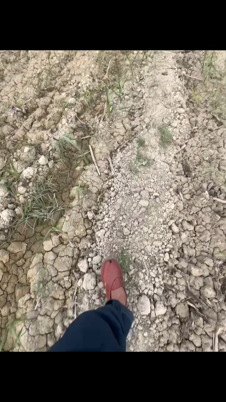 @جٹ مافیا🦅