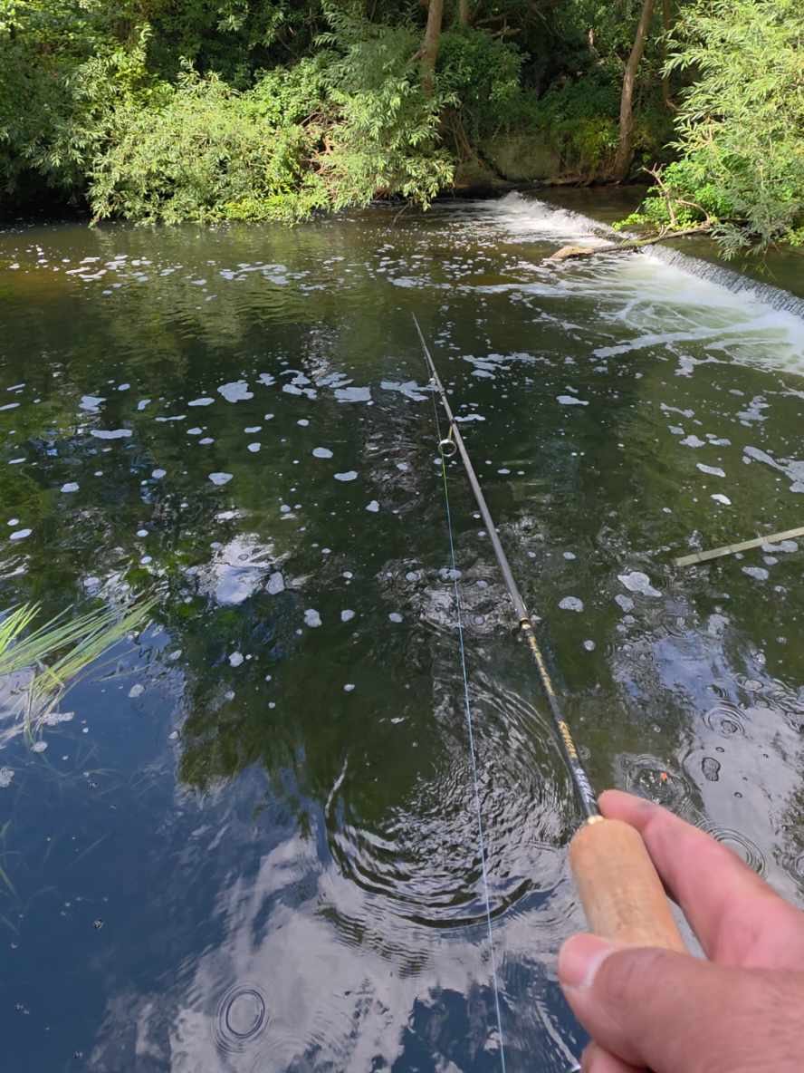 @BF Angler
