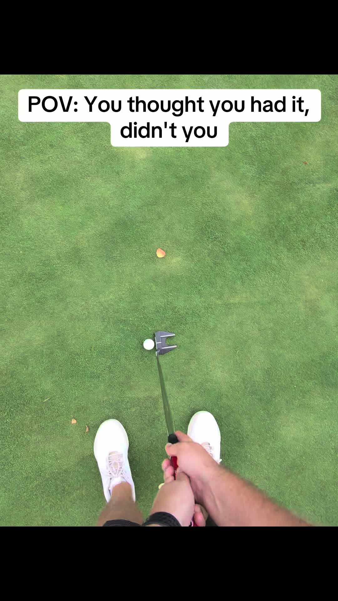 @GolfBite