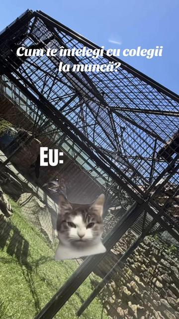 @𝕻𝖆𝖚𝖑𝖆🤍