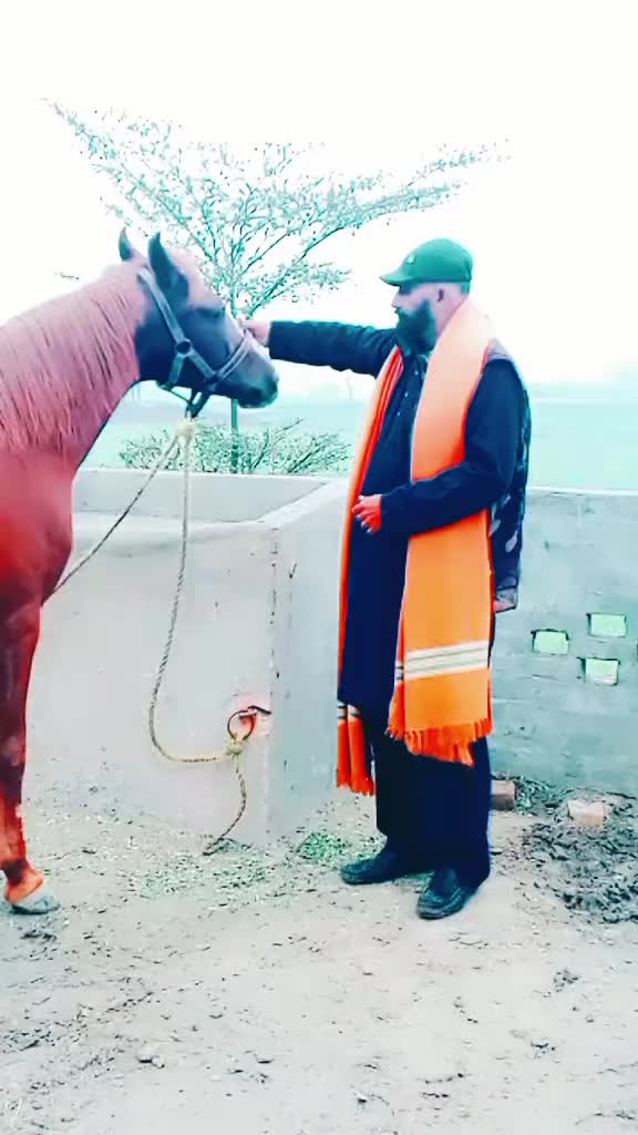 @kamran Javed💫-1