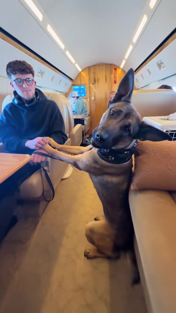 @K9 JETS