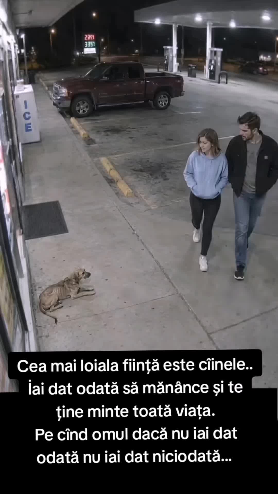 @Flory Ionescu