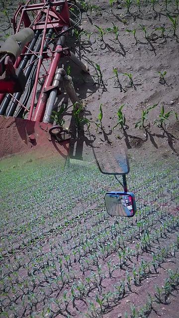 @KeNaFarmer
