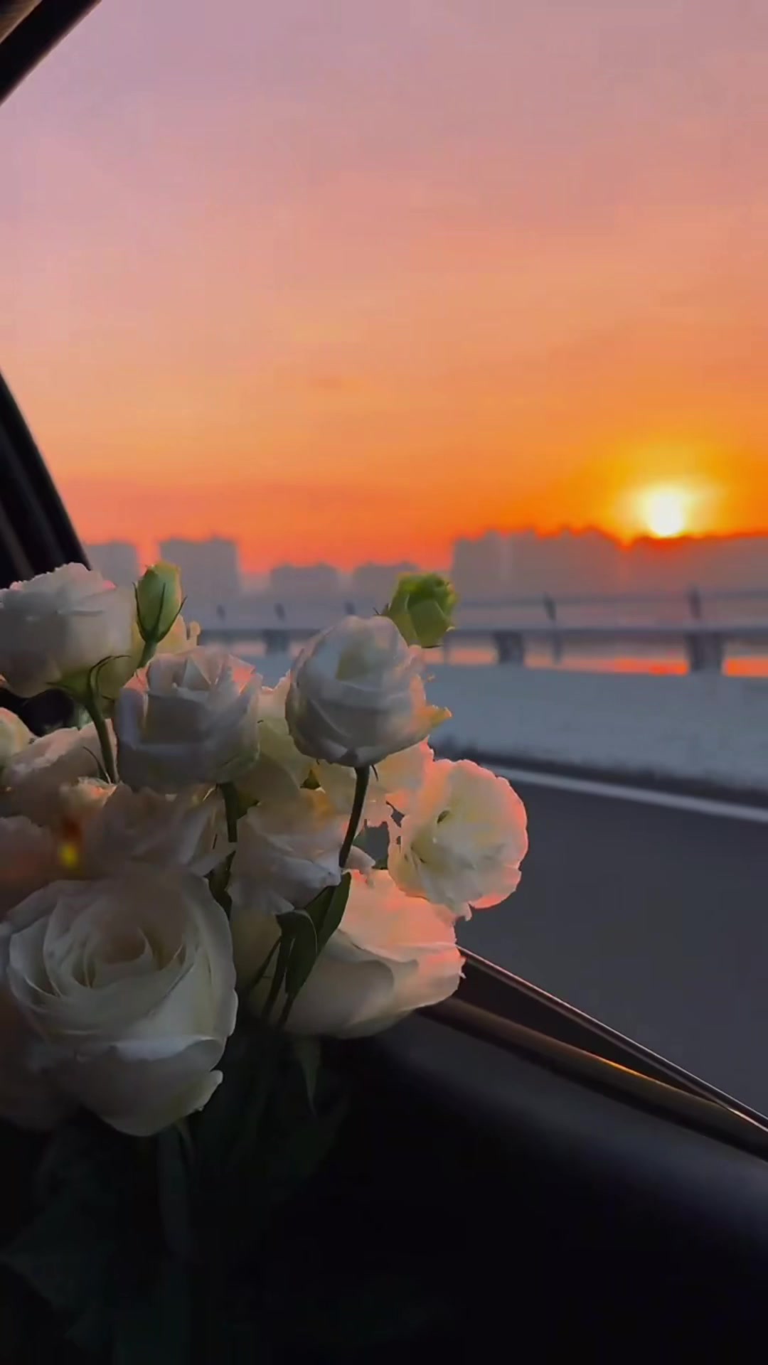 @أَمَةُ اللهِ