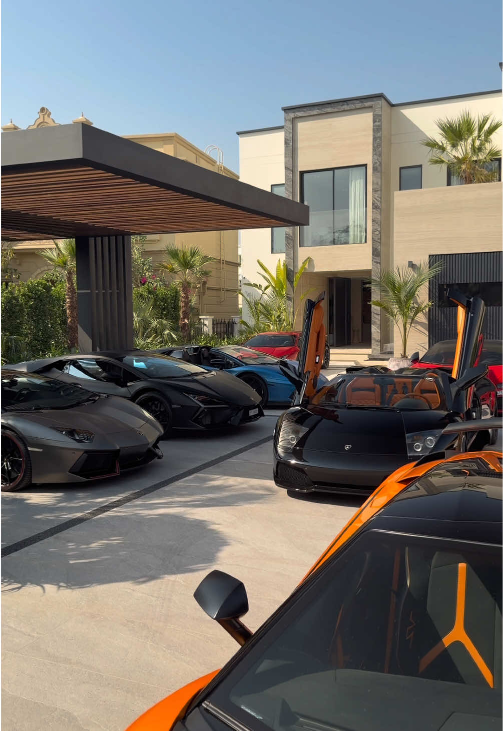 @catchthecar.ch