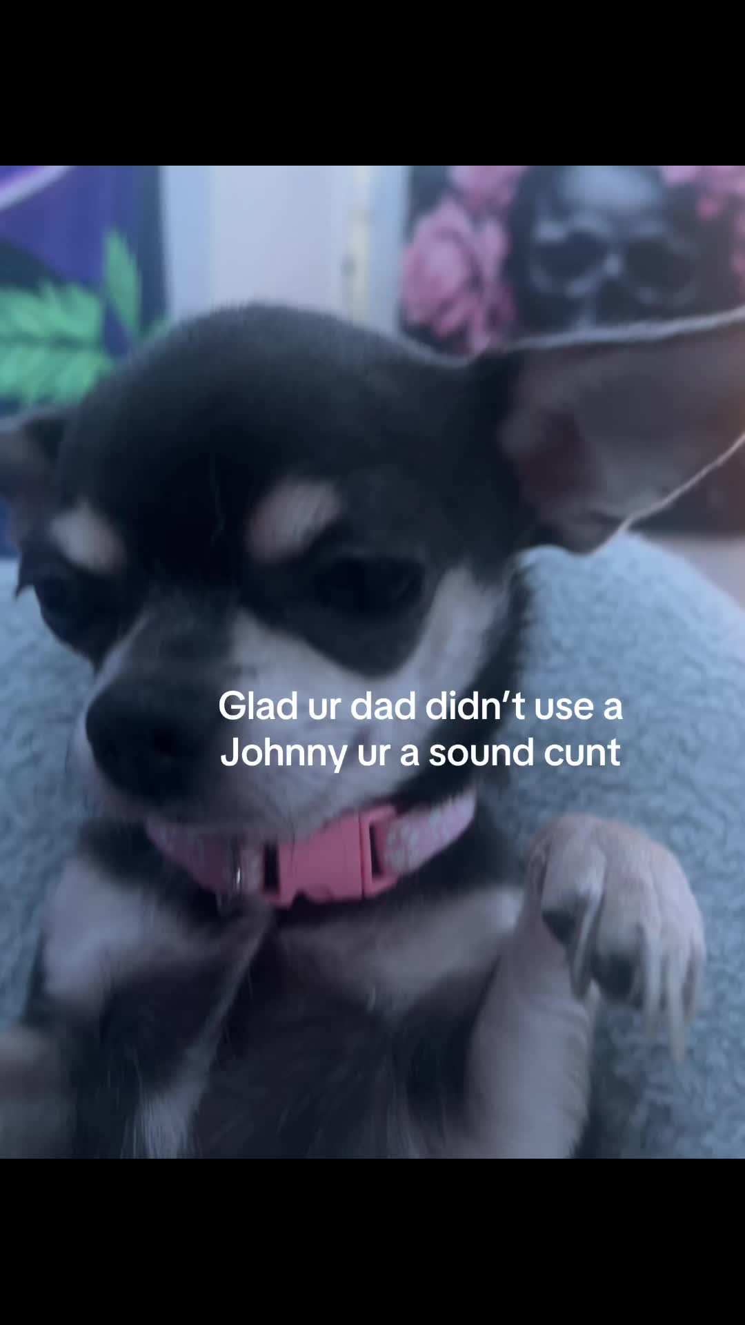 @alzfn1