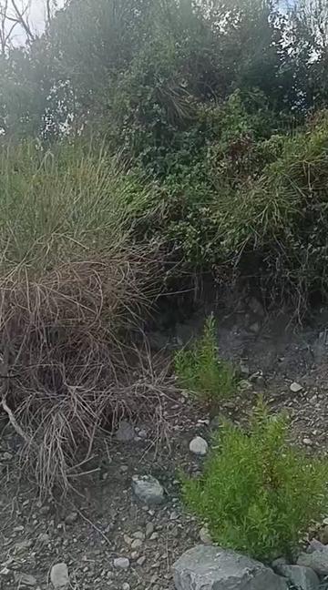 @gianluca37