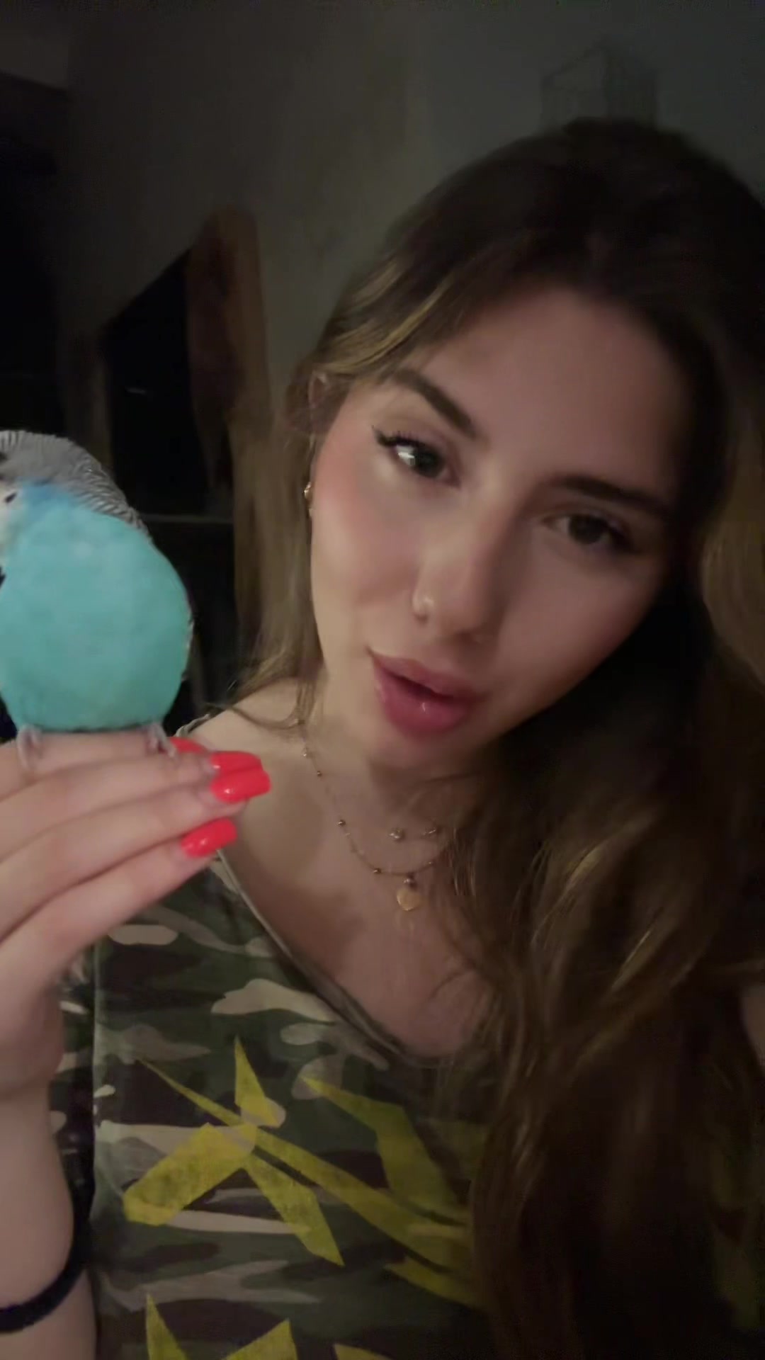 @evitagrinco