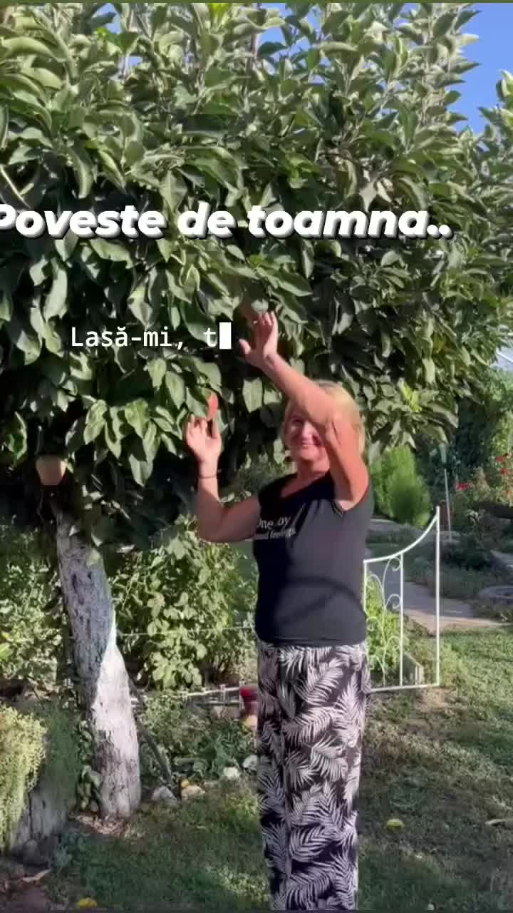 @Ioana Ionescu