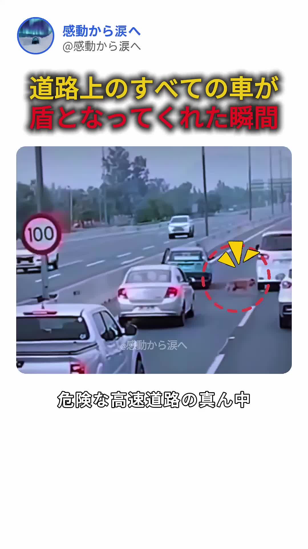 @5qpjptro