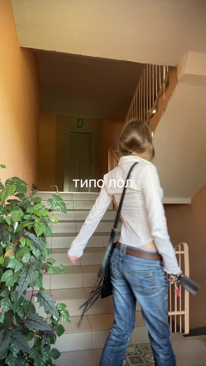 @zебра