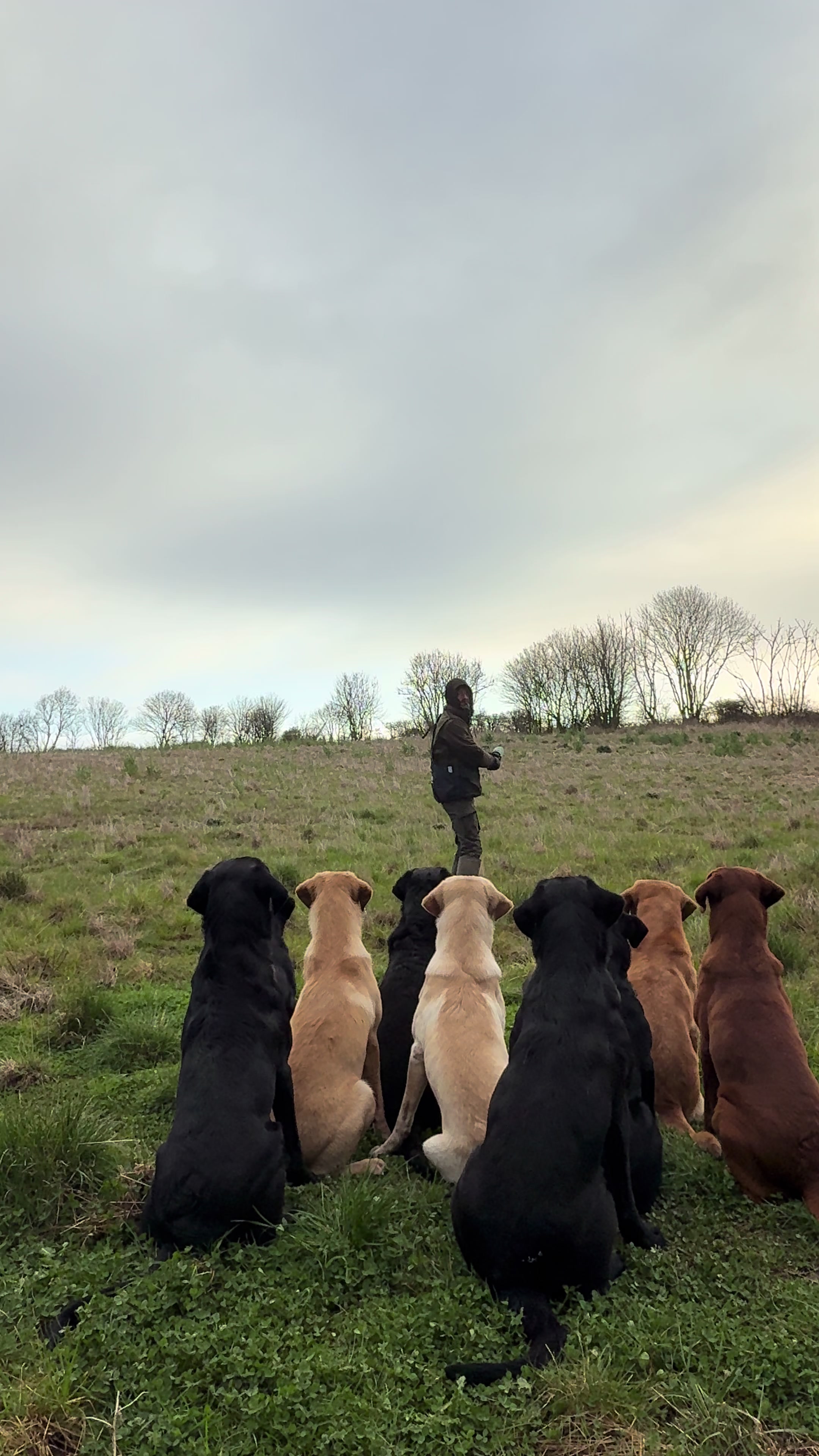 @slingleygundogs