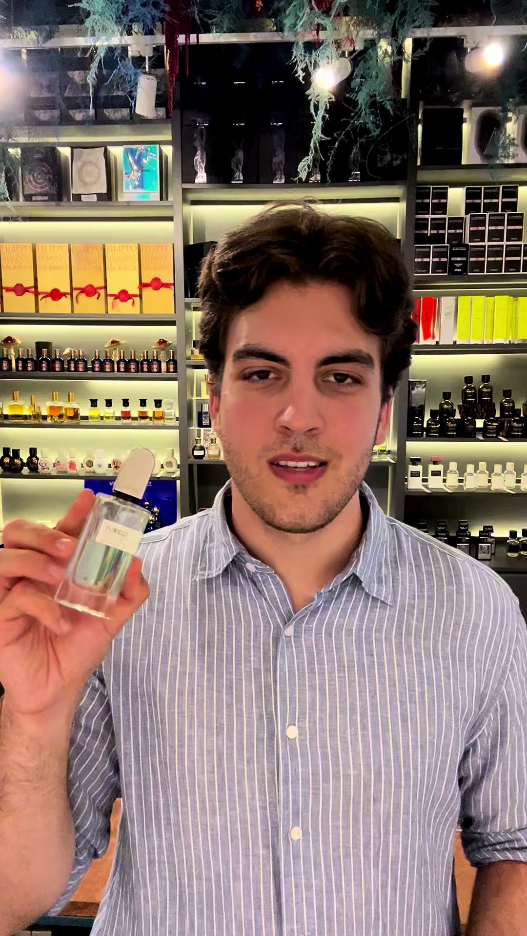 @7scents Perfumery