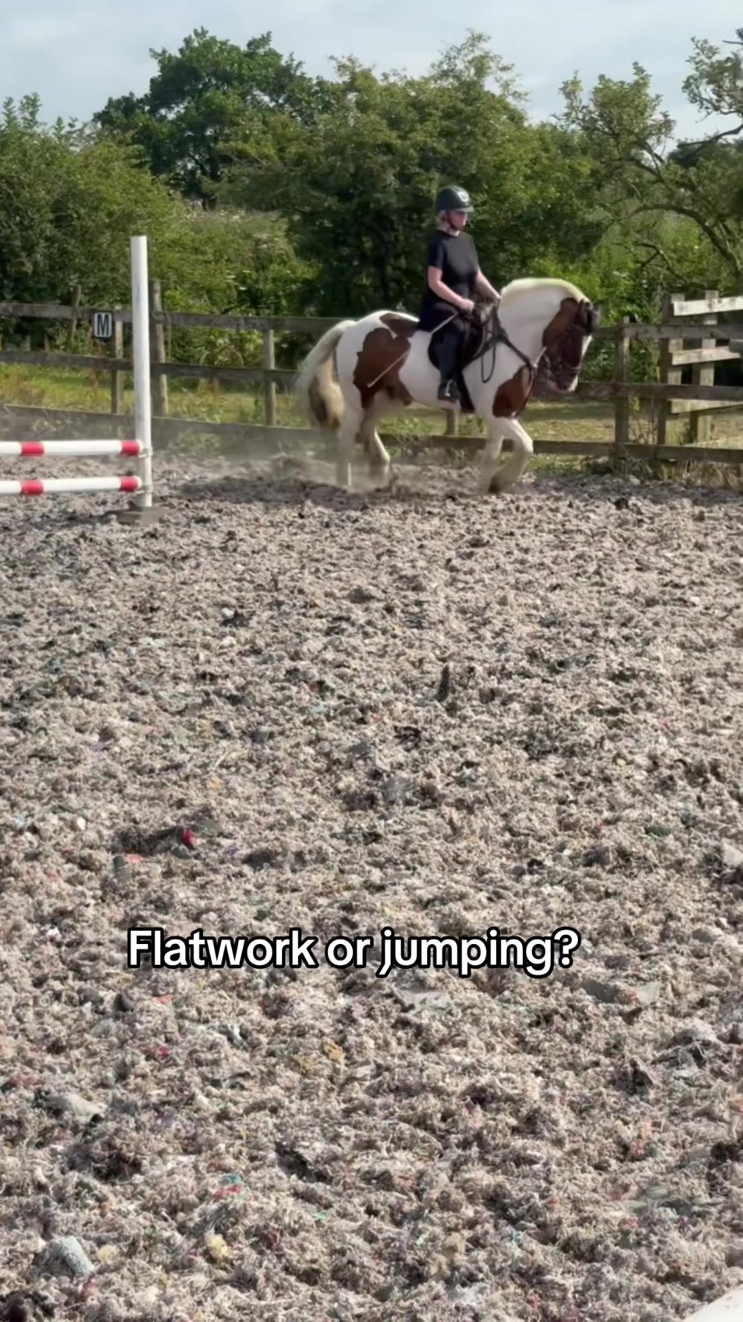 @Lilywiththecobs🐴