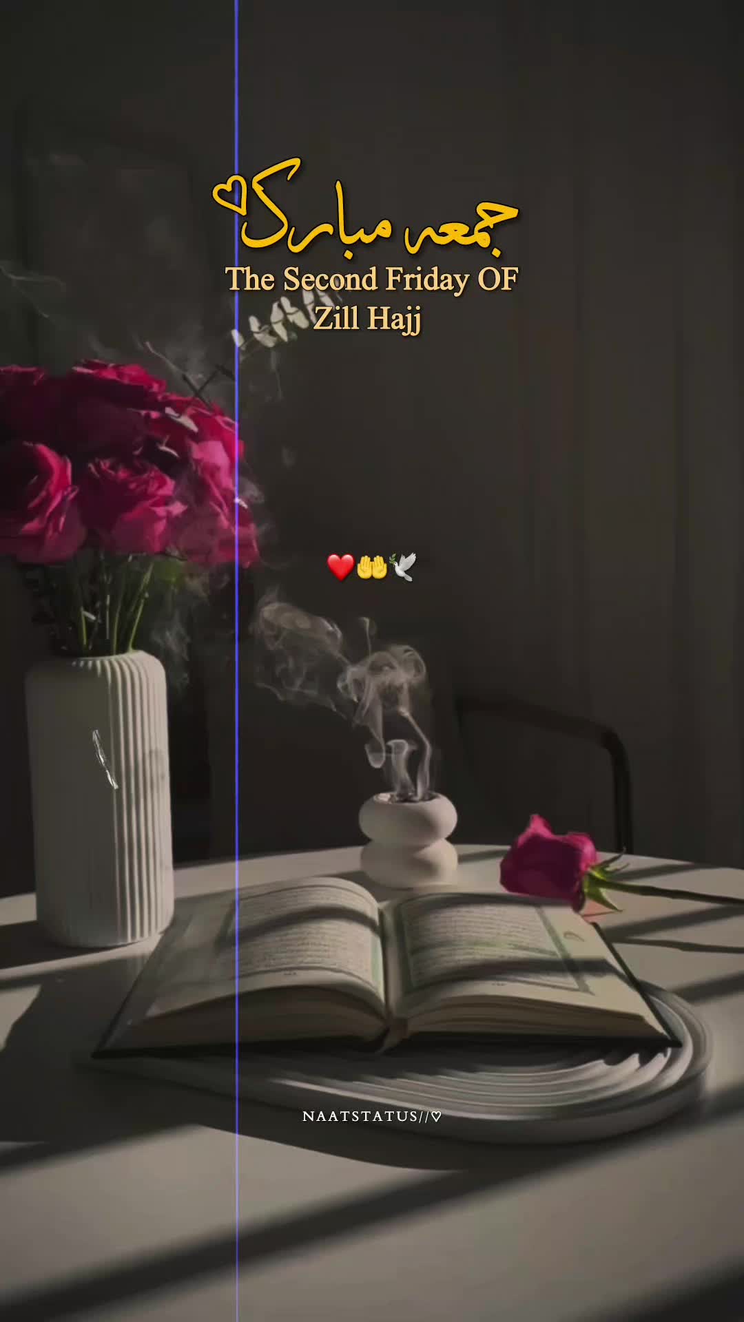 @𝑵𝑨𝑨𝑻 𝑺𝑻𝑨𝑻𝑼𝑺 ❣️