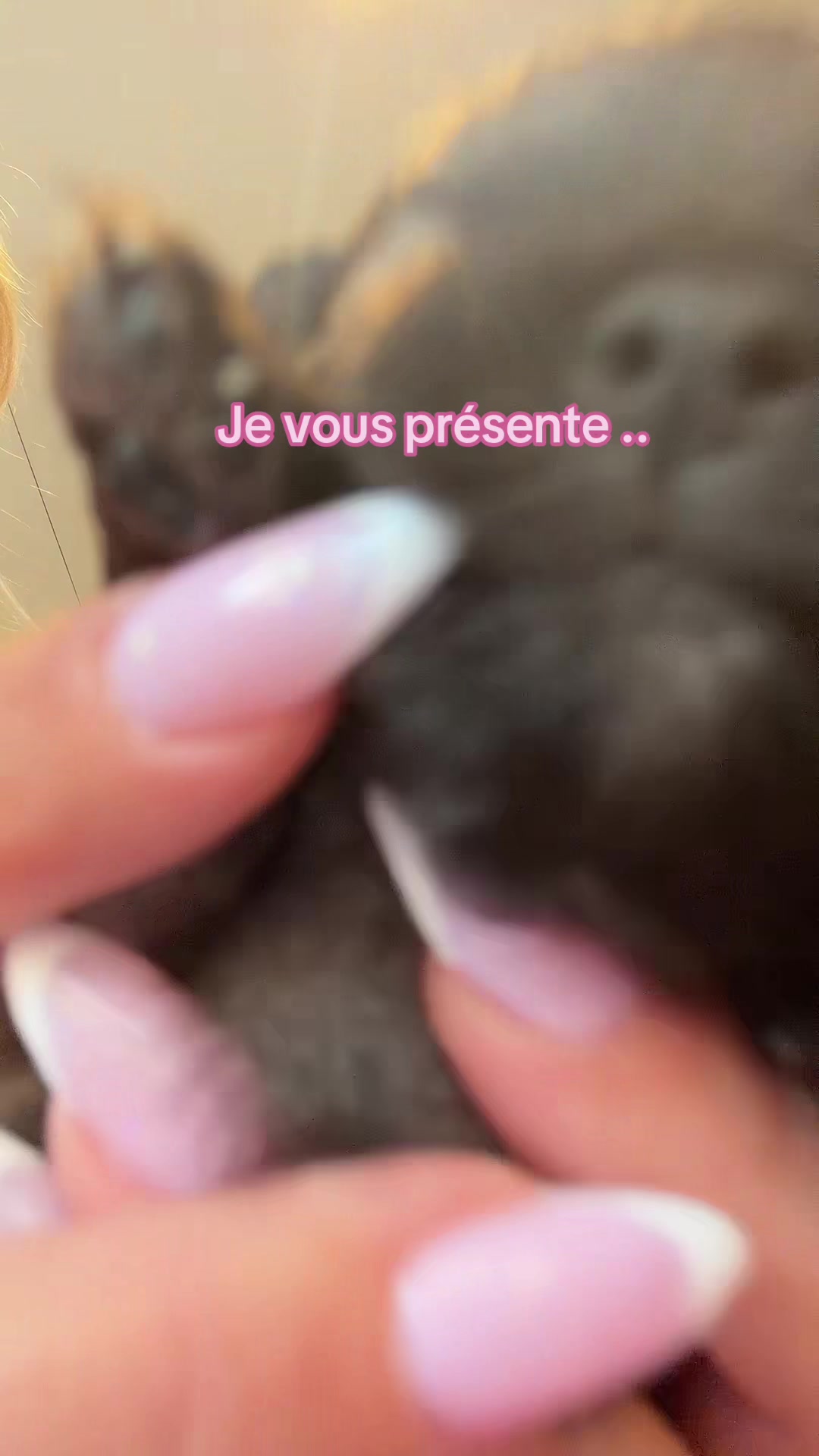 @Tshennka