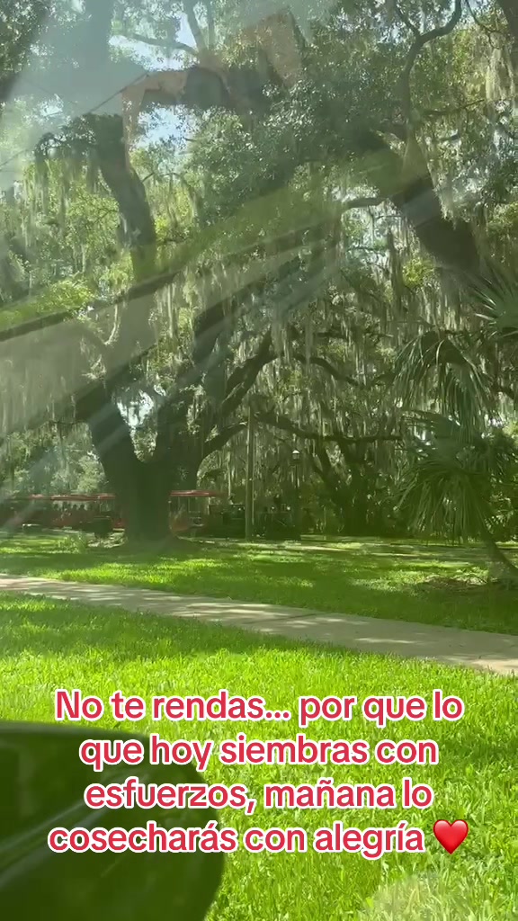 @Elsita Bejarano