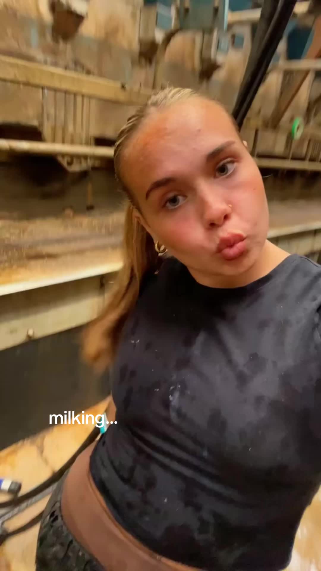 @robyn🐮🏑