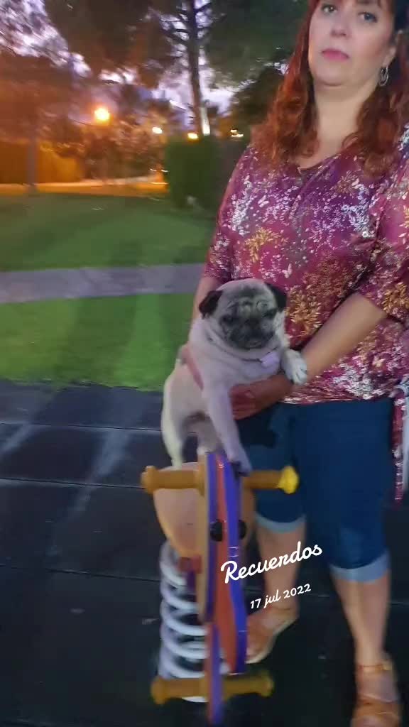 @pipipi374