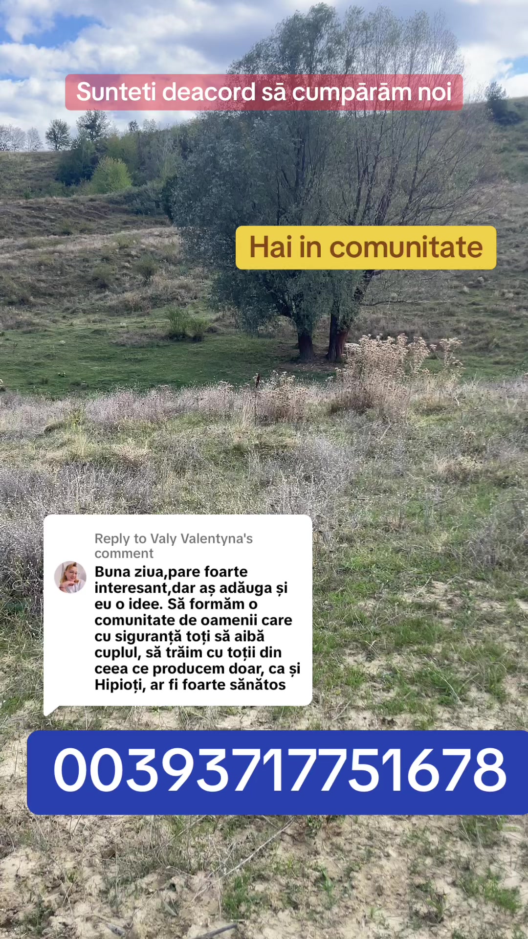 @Mos Craciun