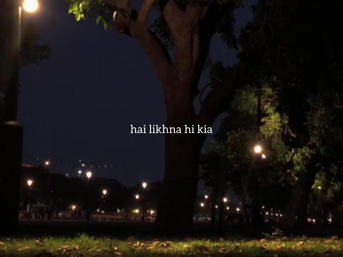 @ʟᴏꜰɪ ᴅʀᴇᴀᴍꜱ
