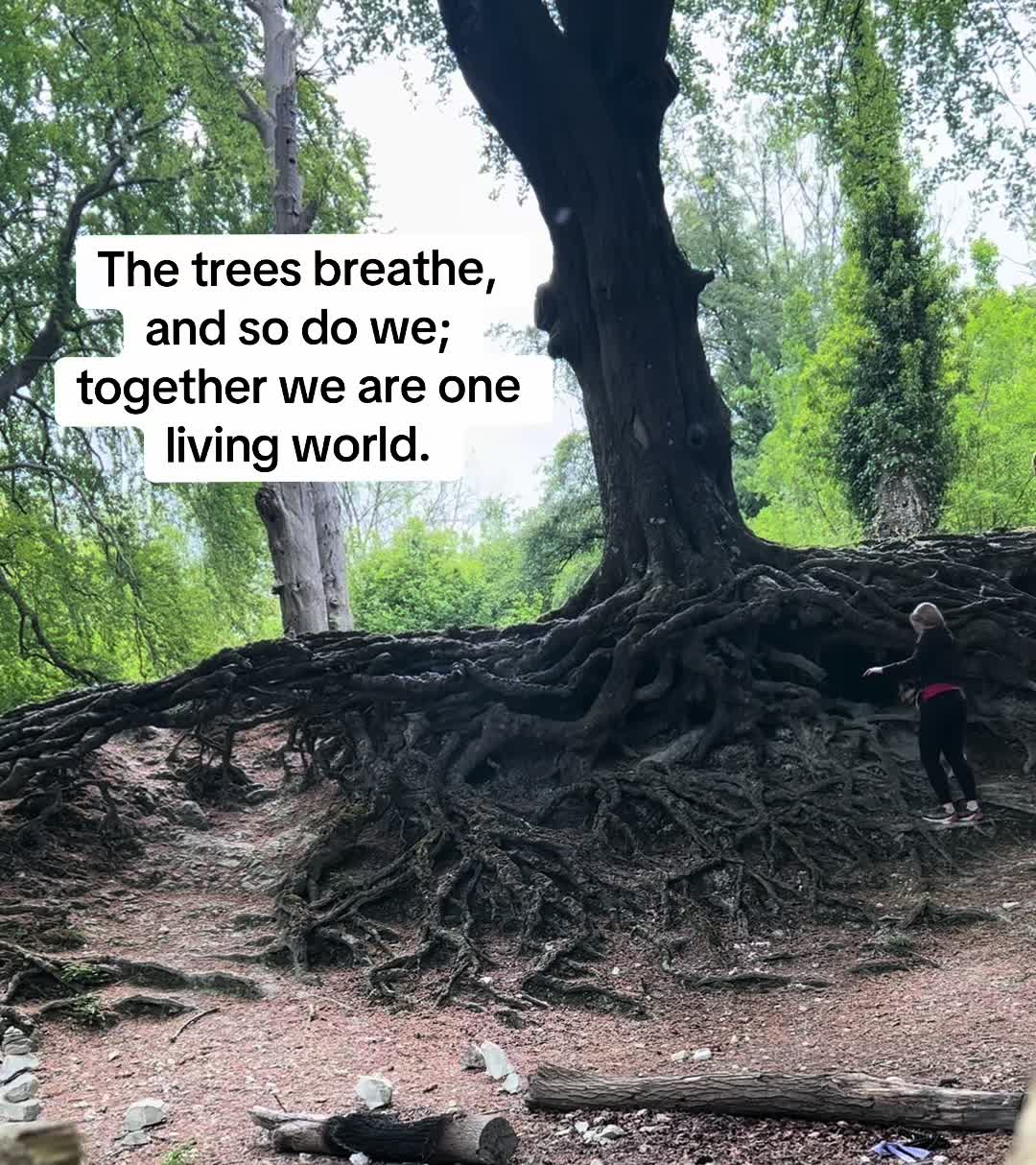 @healingheartsholistics