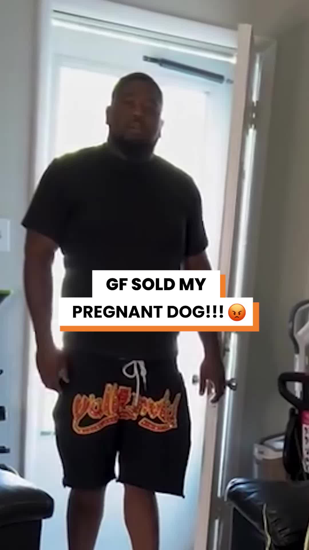 @Go Fetch