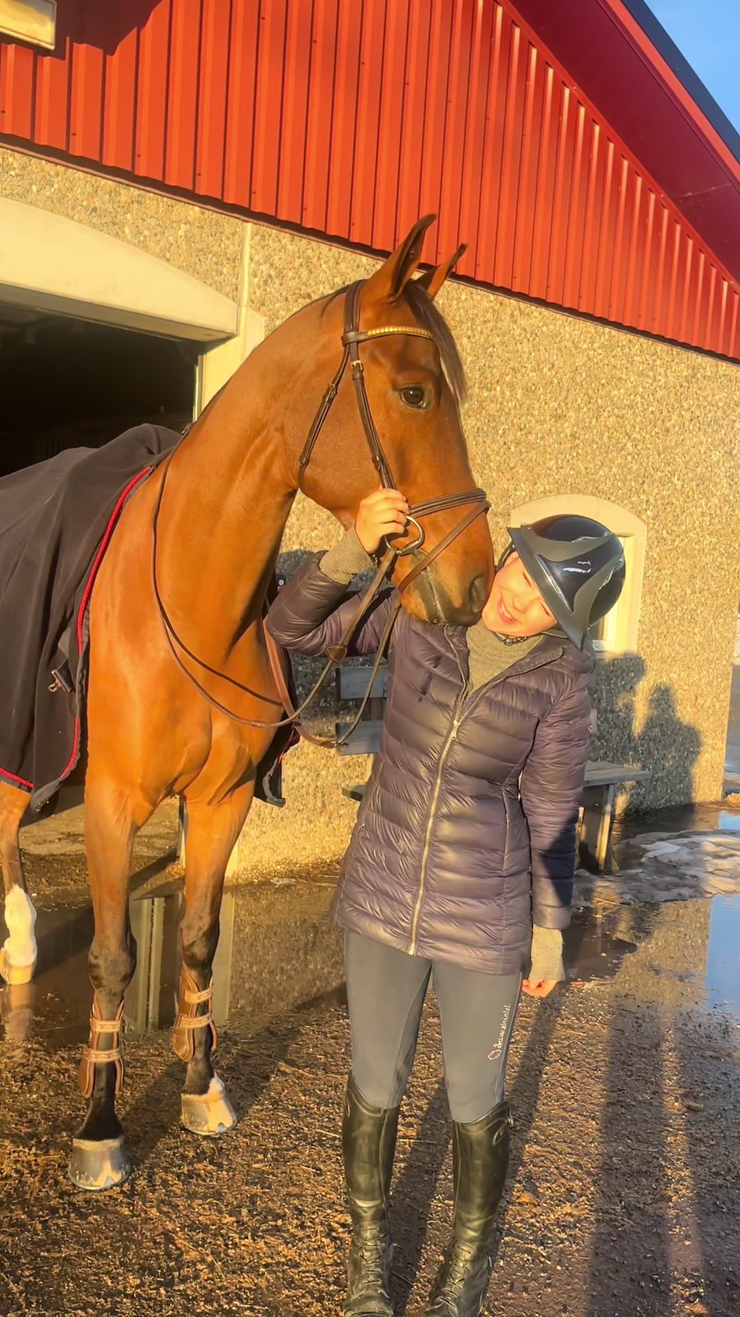 @hedda.equi