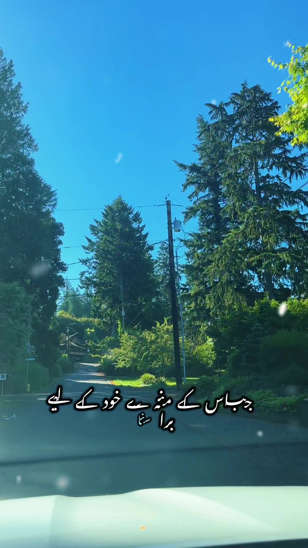 @Syeda-G 007