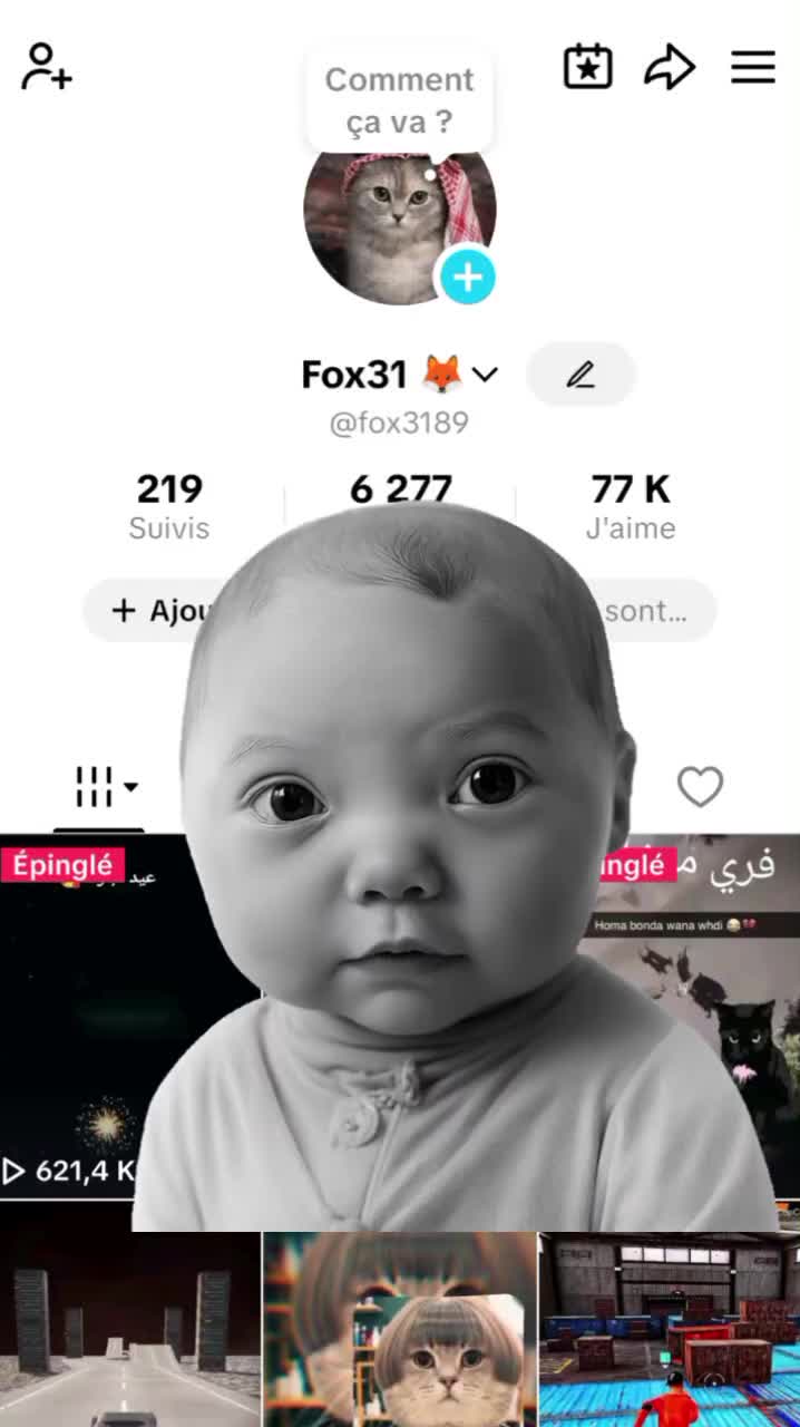 @Fox31 🦊
