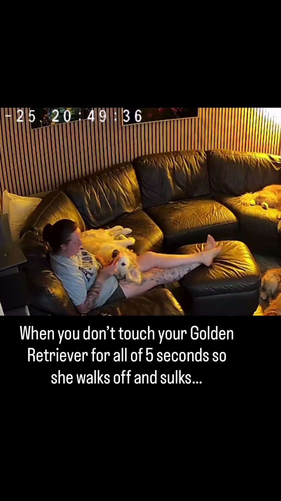 @5 Shades of Golden