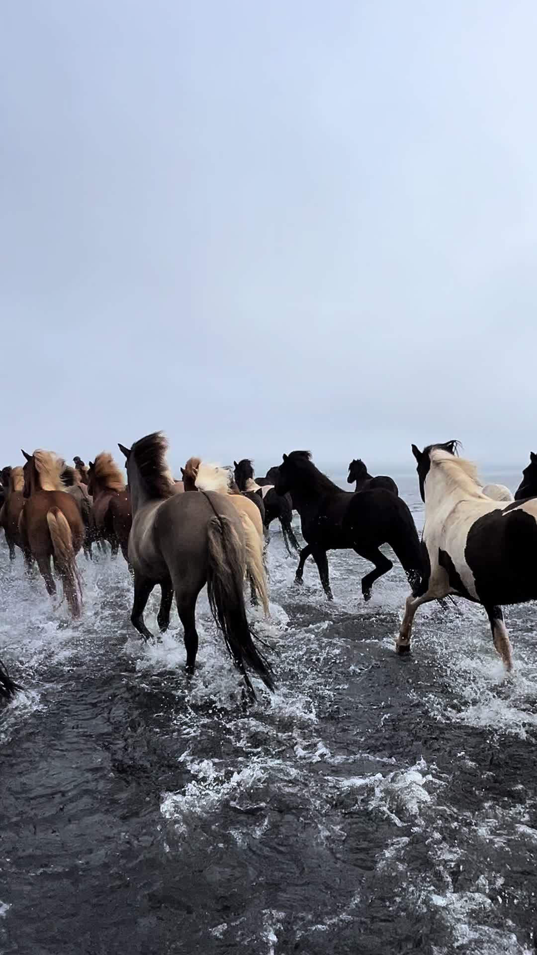 @nordwind_reitreise