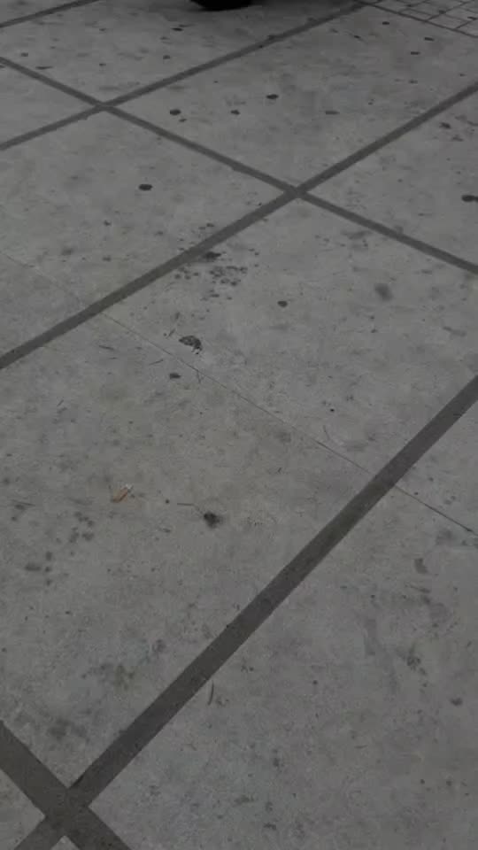 @𝕘𝕚𝕠𝕣𝕘𝕠𝕤𝕄🎭