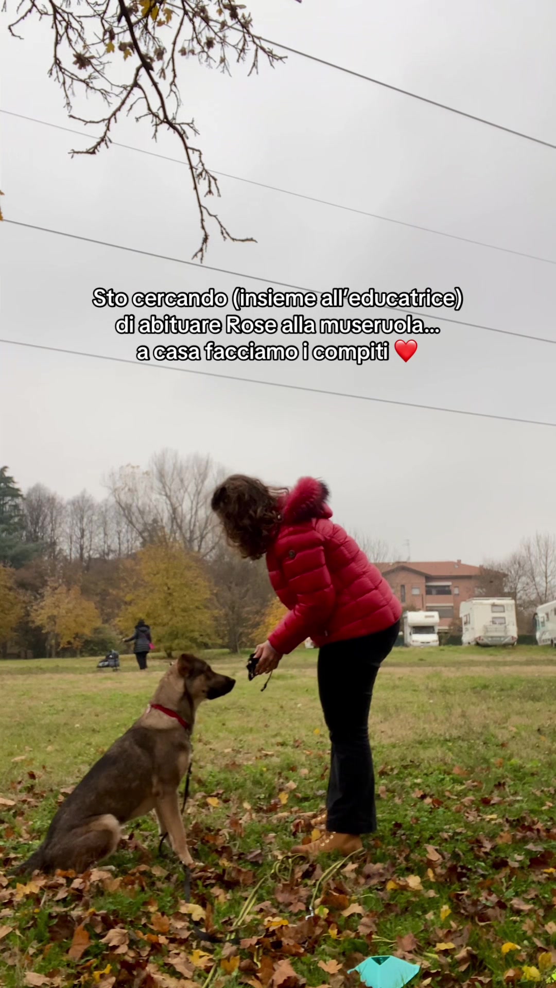 @Beatrix ᢉ𐭩