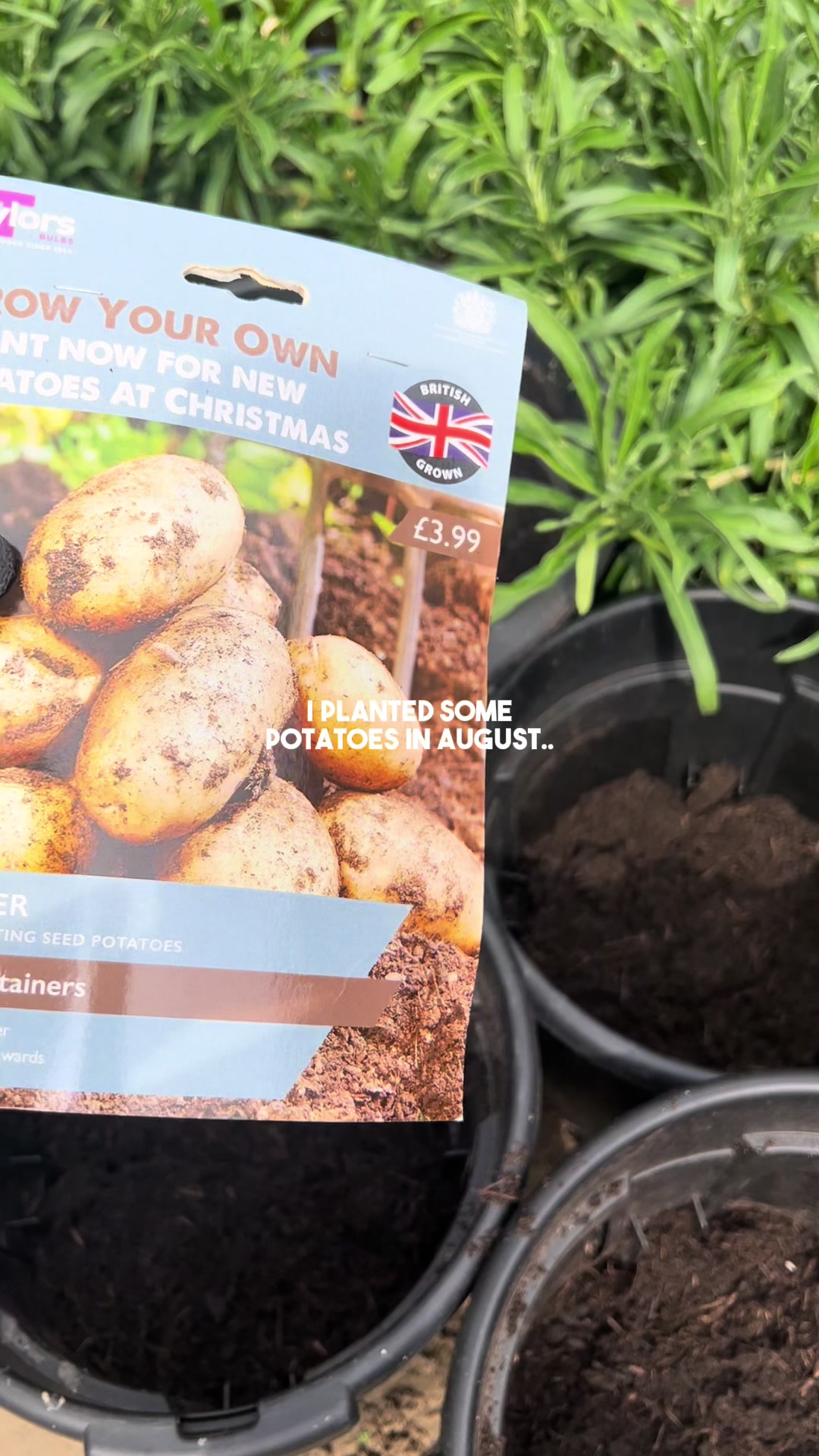 @Diary of a Yorkshire Gardener