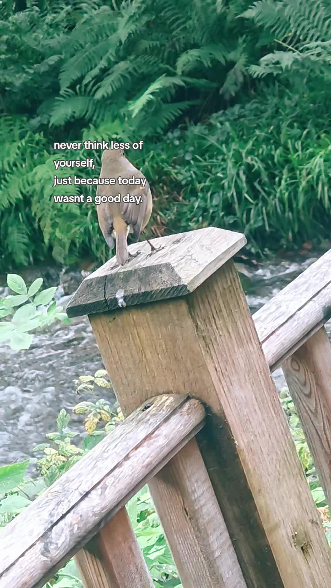 @Co.De.369
