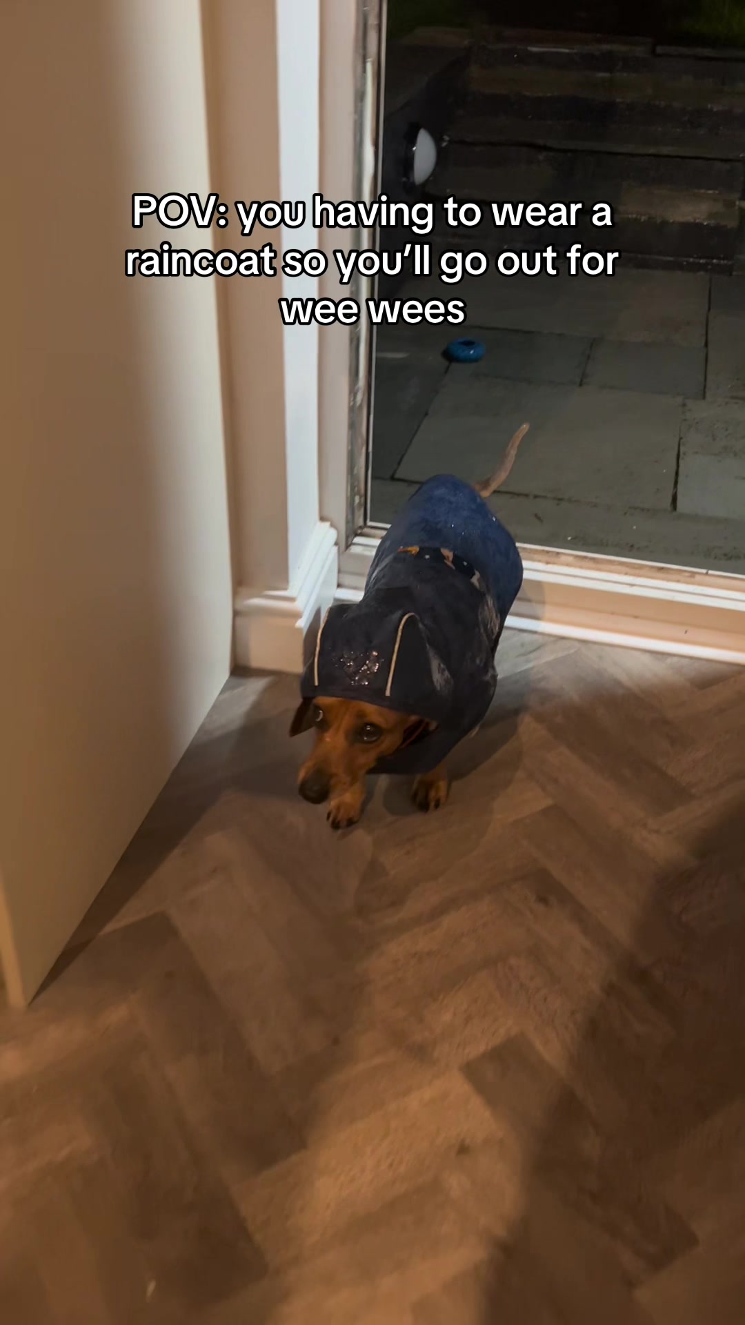 @Rebecca, Pip & Rolo