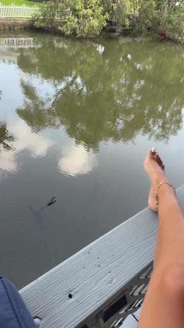 @bubblegumblue12